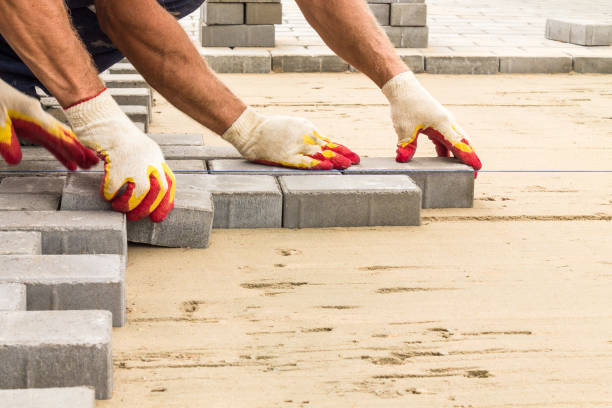Best Driveway Paving Contractor  in Coon Rapids, MN