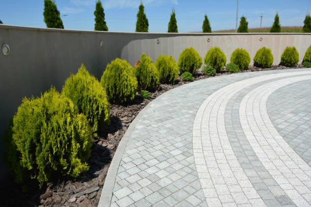 Best Residential Paver Driveway  in Coon Rapids, MN
